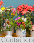 Flower Arrangement in a Container