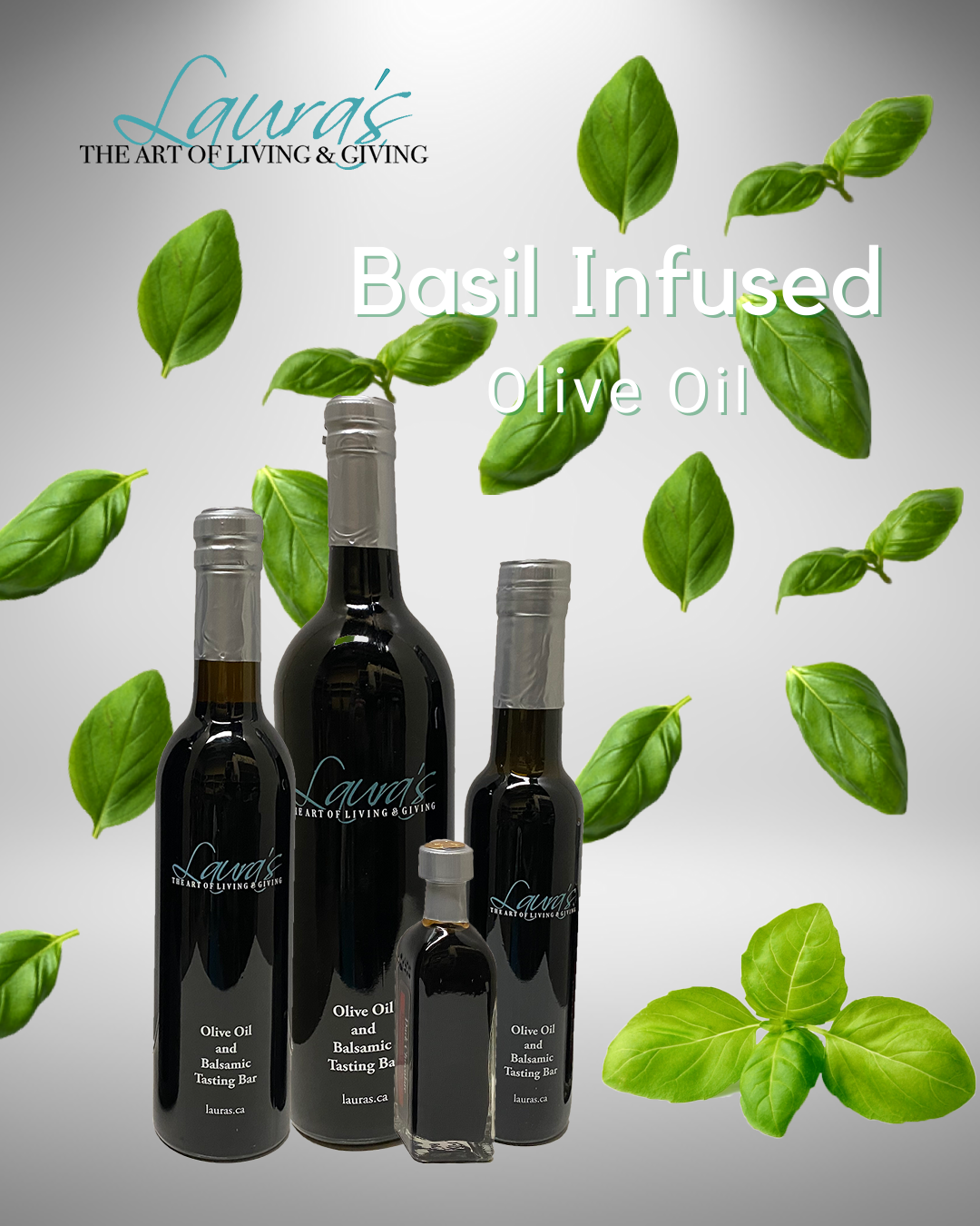Basil infused Olive Oil